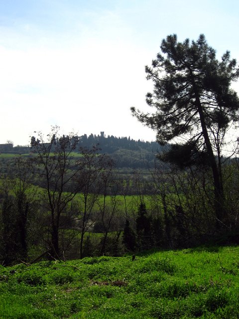 Fiesole - Parco di Montececeri-33.JPG